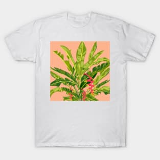 Birds of paradise Heliconia T-Shirt